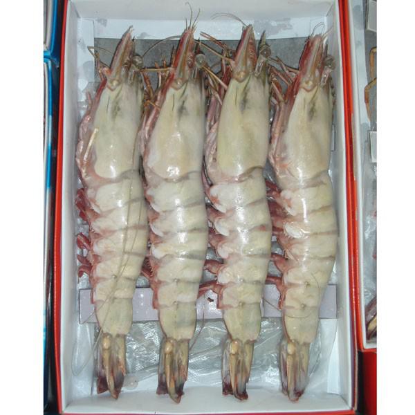 泰国对虾进口有关注意事项