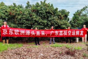 京东打通荔枝跨国冷链，48小时到消费者餐桌