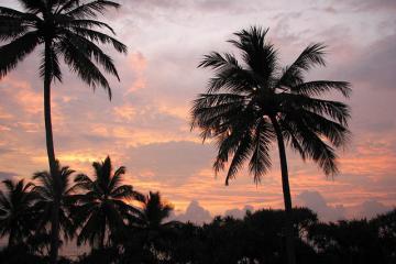 45倍跃升+17.8%毛利！中国物流企业激战东南亚千亿市场