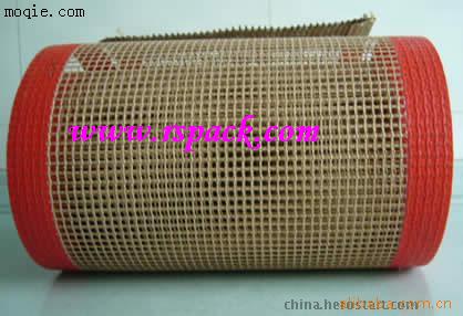 聚四氟乙烯涂覆网眼布(一)